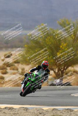 media/Apr-10-2022-SoCal Trackdays (Sun) [[f104b12566]]/Turn 5 Tree of Life (1040am)/